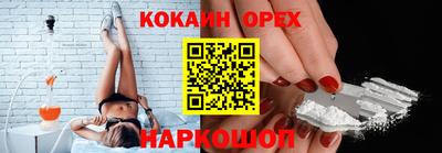 крисы Кулебаки