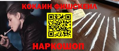 крисы Кулебаки