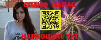 крисы Кулебаки