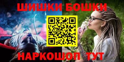 крисы Кулебаки