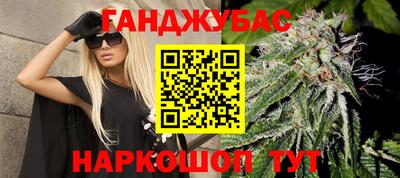 крисы Кулебаки
