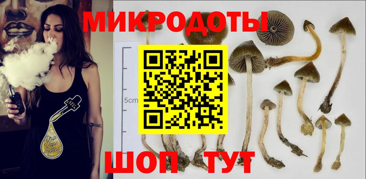 Галлюциногенные грибы Cubensis Губаха