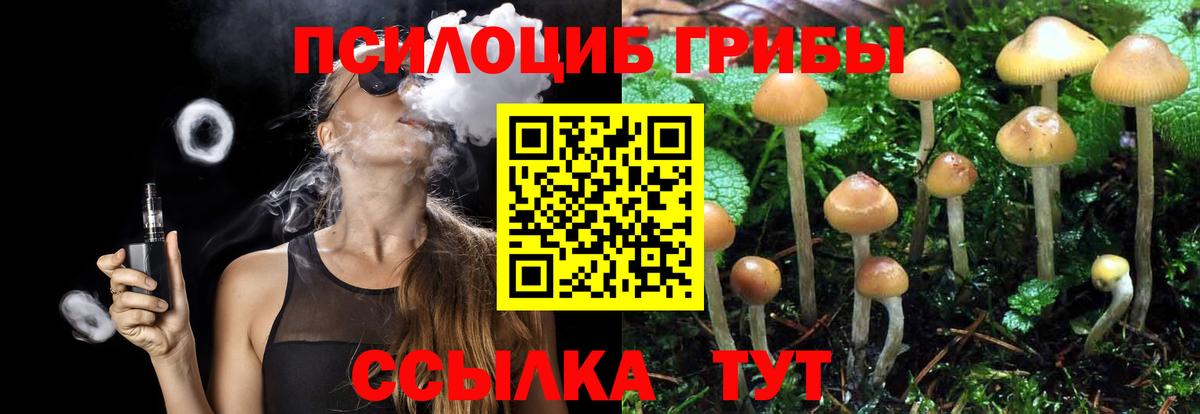 цена   Псилоцибиновые грибы мухоморы  Псилоцибиновые грибы Psilocybe  Вход с VPN  Губаха 